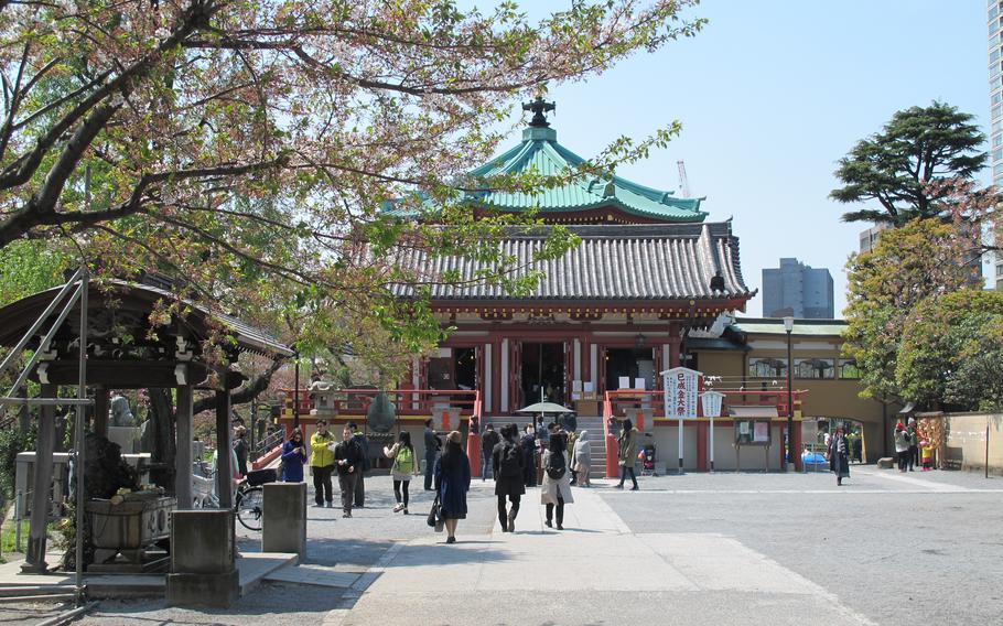 Shinobazunoike Pond